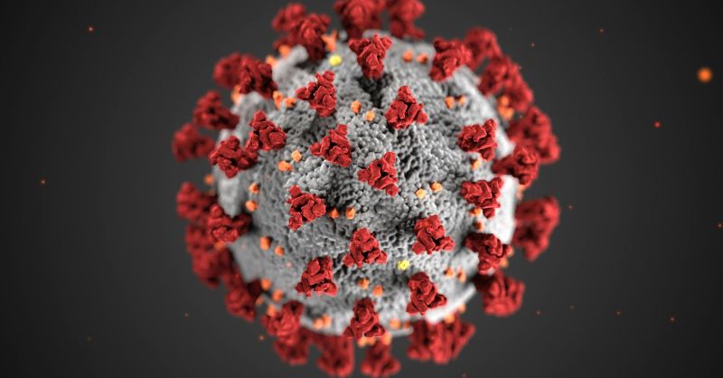 Human Metapneumovirus (hMPV)